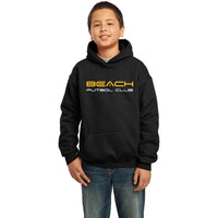 Youth hoodies with Text Logo